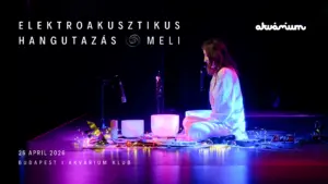 Elektroakusztikus Hangutazás