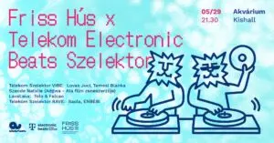 Friss Hús x Szelektor koncert Budapesten (Akvárium Klub)
