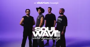 Soulwave koncert Budapesten (Akvárium Klub)