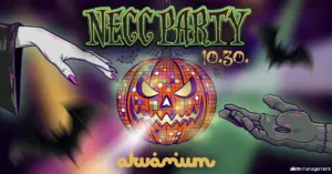 NECC PARTY // 10.30 koncert Budapesten (Akvárium Klub)