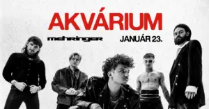TELT HÁZ! Mehringer |  DAY 2 – SZERELEM koncert Budapesten (Akvárium Klub)