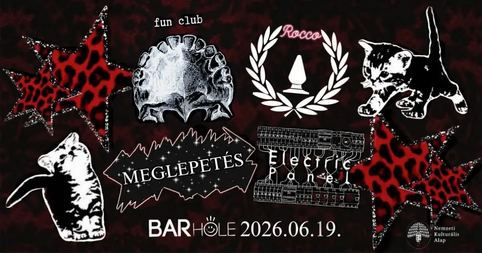 Rocco I fun club I Electric Panel I Meglepetés koncert Budapesten (BAR Hole Music)