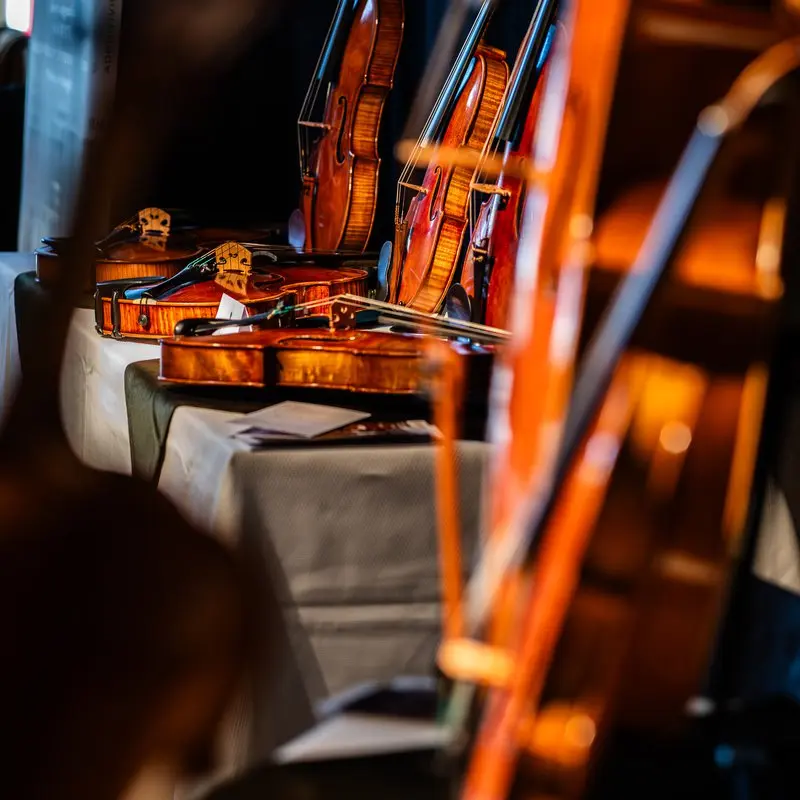 XV. Wine&Violin Hegedű- és Vonókészítők Szalonja koncert Budapesten (Fonó Budai Zeneház)