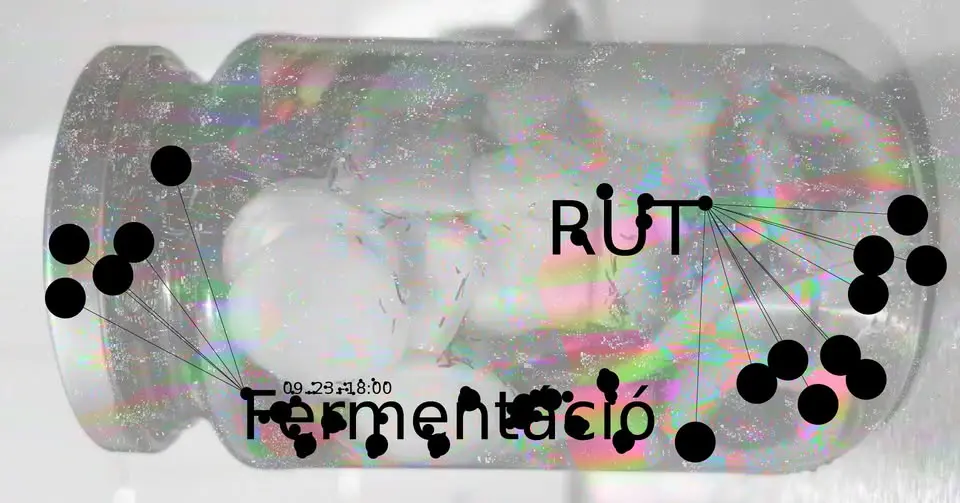 RUT-Fermentációs parti koncert Budapesten – Gólya