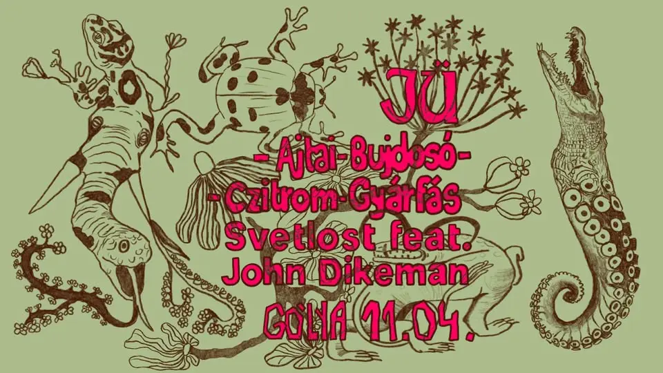 Jü ✦ Svetlost ✦ Ajtai-Bujdosó-Czitrom-Gyárfás ↪ Gólya koncert Budapesten (Gólya)