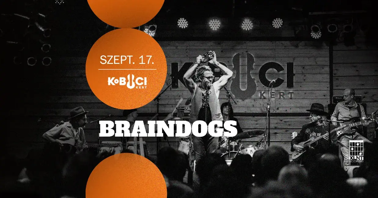 Braindogs