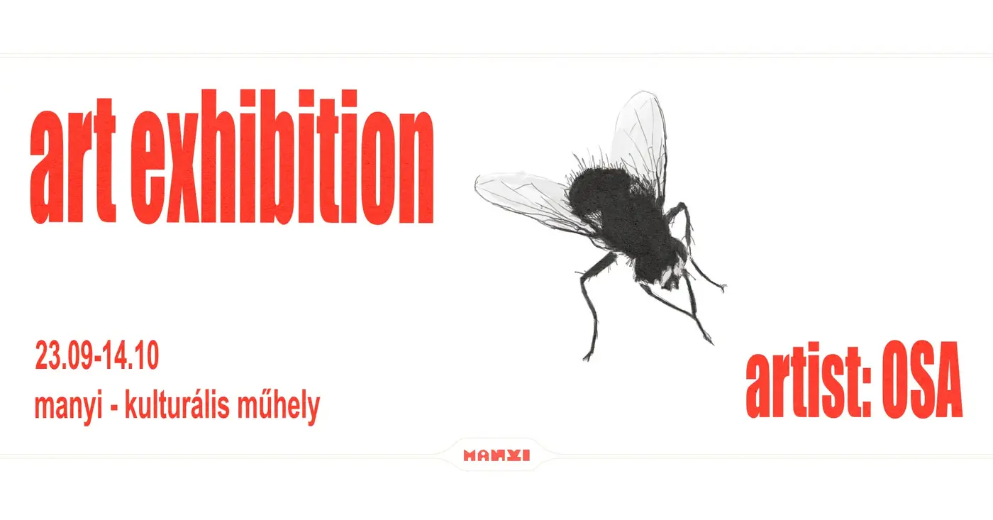 Flies. Kiállítás koncert Budapesten (Manyi-Kulturális Műhely)