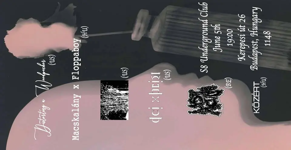 Distorting a Woodpecker [USA] | Macskalany X Floppaboy | Közért | +3 Zenekar koncert Budapesten (S8 Underground Club)
